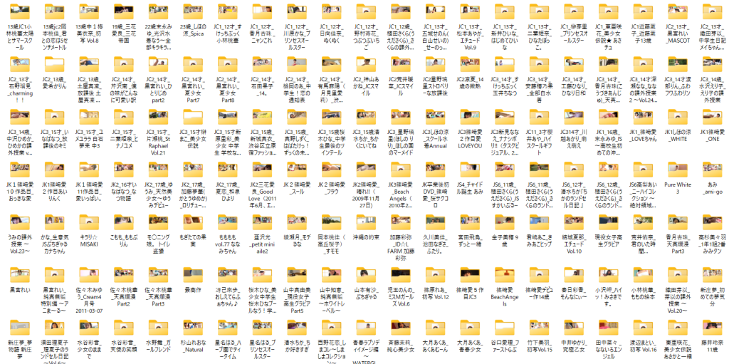 私が入手した動画たち